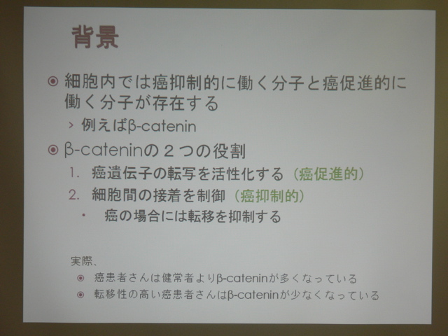P1040226