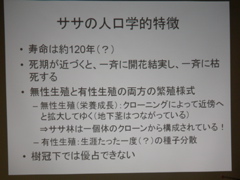 P1040198