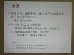 P1040226