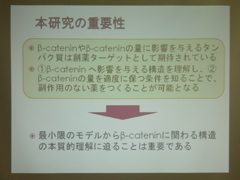 P1040228